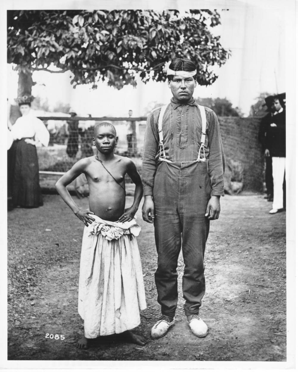 <p>Most sources contemporary to the Louisiana Purchase Exposition identified the men brought from the Congo Free State for the fair as pygmies, although the Africans came from a number of ethnic groups. Heights compared: The photograph shows the African man, at about four and a half feet, standing next to the Patagonian Indian, at about six feet. Number 2085: Number ‘2085’ written in left-hand corner of photograph.</p>
